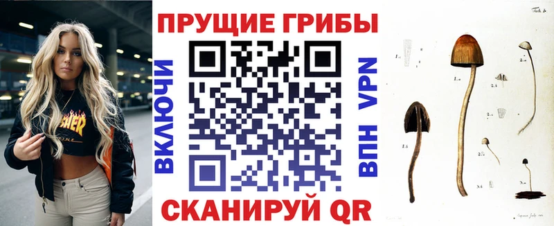 Галлюциногенные грибы ЛСД  Купить  Аркадак 